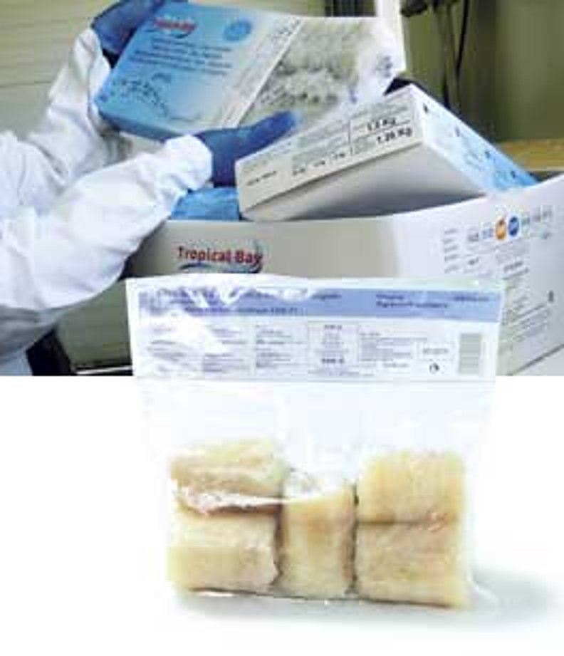 Sachet de morceaux de poisson surgelé, avec un employé en tenue de protection qui manipule des cartons